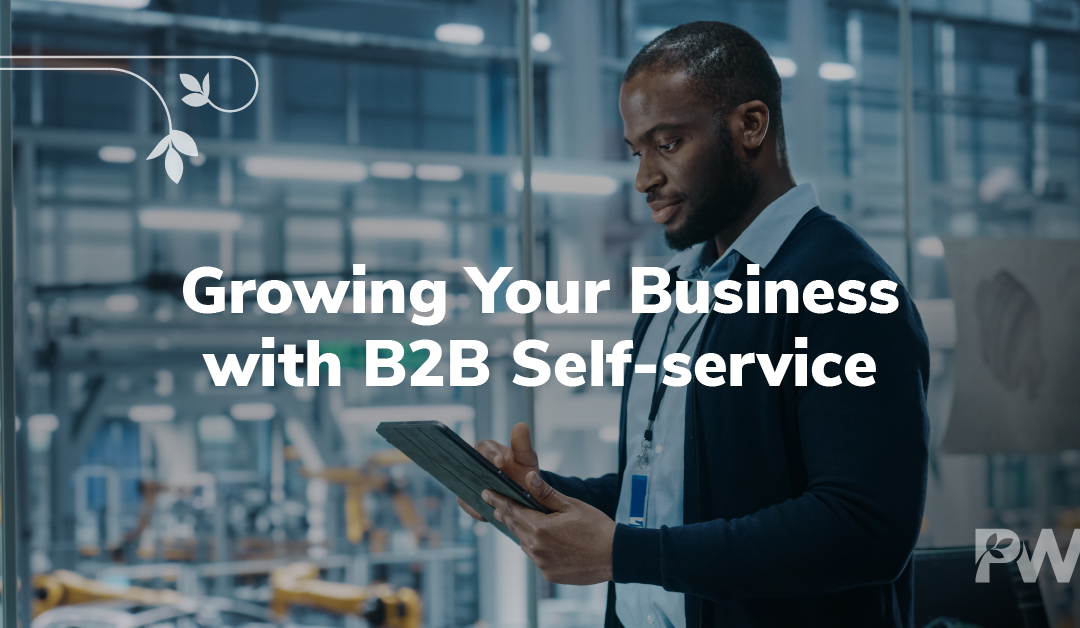 Growing Your Business With B2B Self-Service